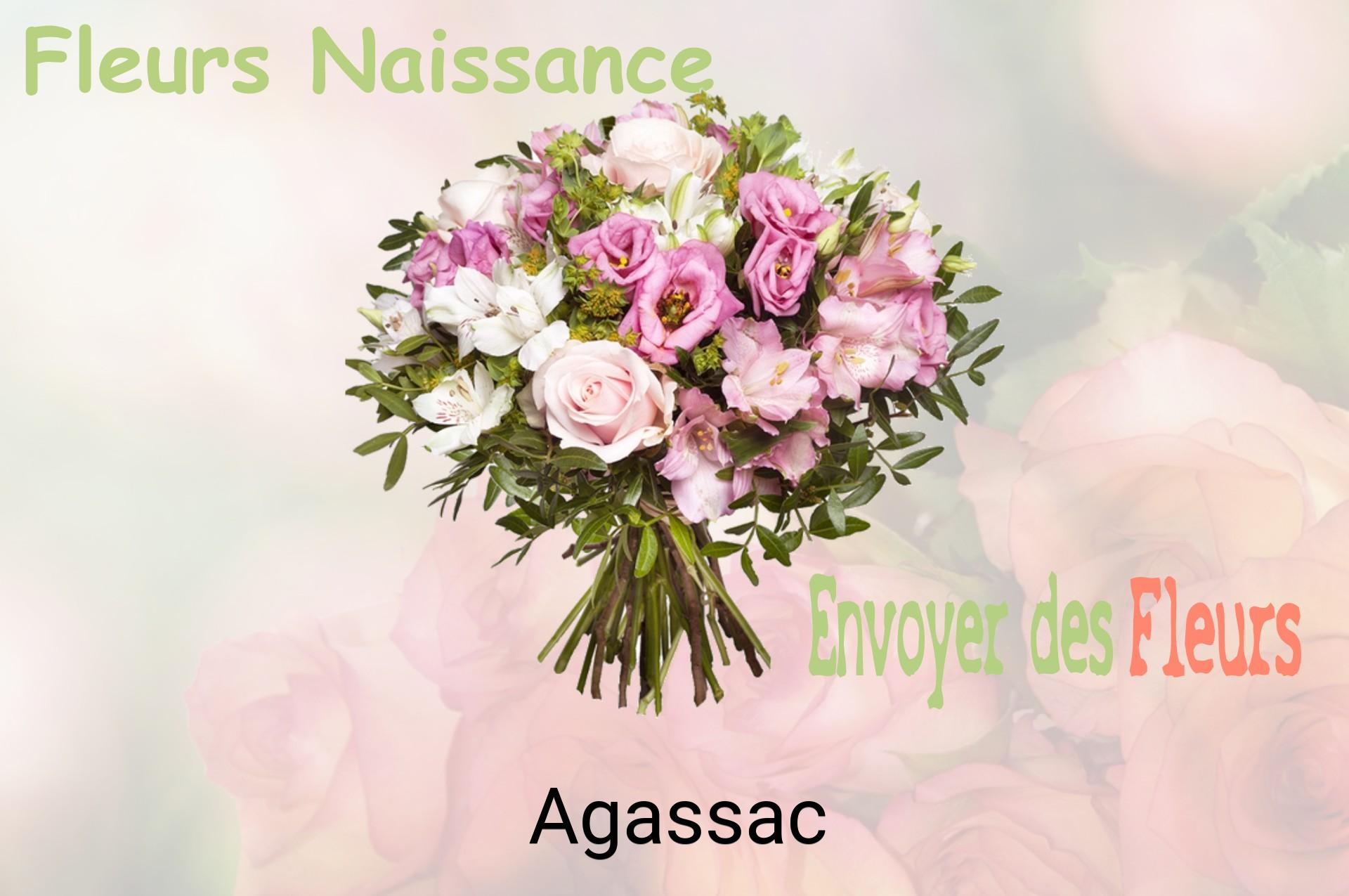 Bouquet de fleurs de naissance livré à Agassac