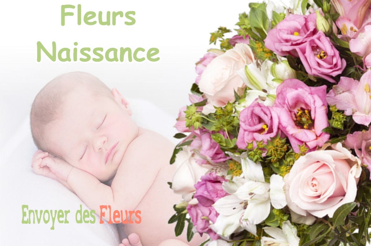 lIVRAISON FLEURS NAISSANCE à AGASSAC